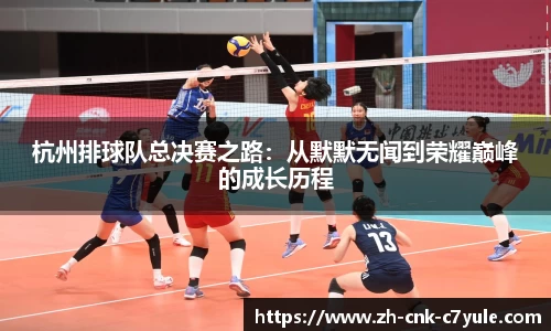 杭州排球队总决赛之路:从默默无闻到荣耀巅峰的成长历程